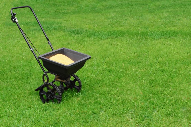 Fertilizer spreader on green grass background, Can You Use A Salt Spreader For Grass Seed