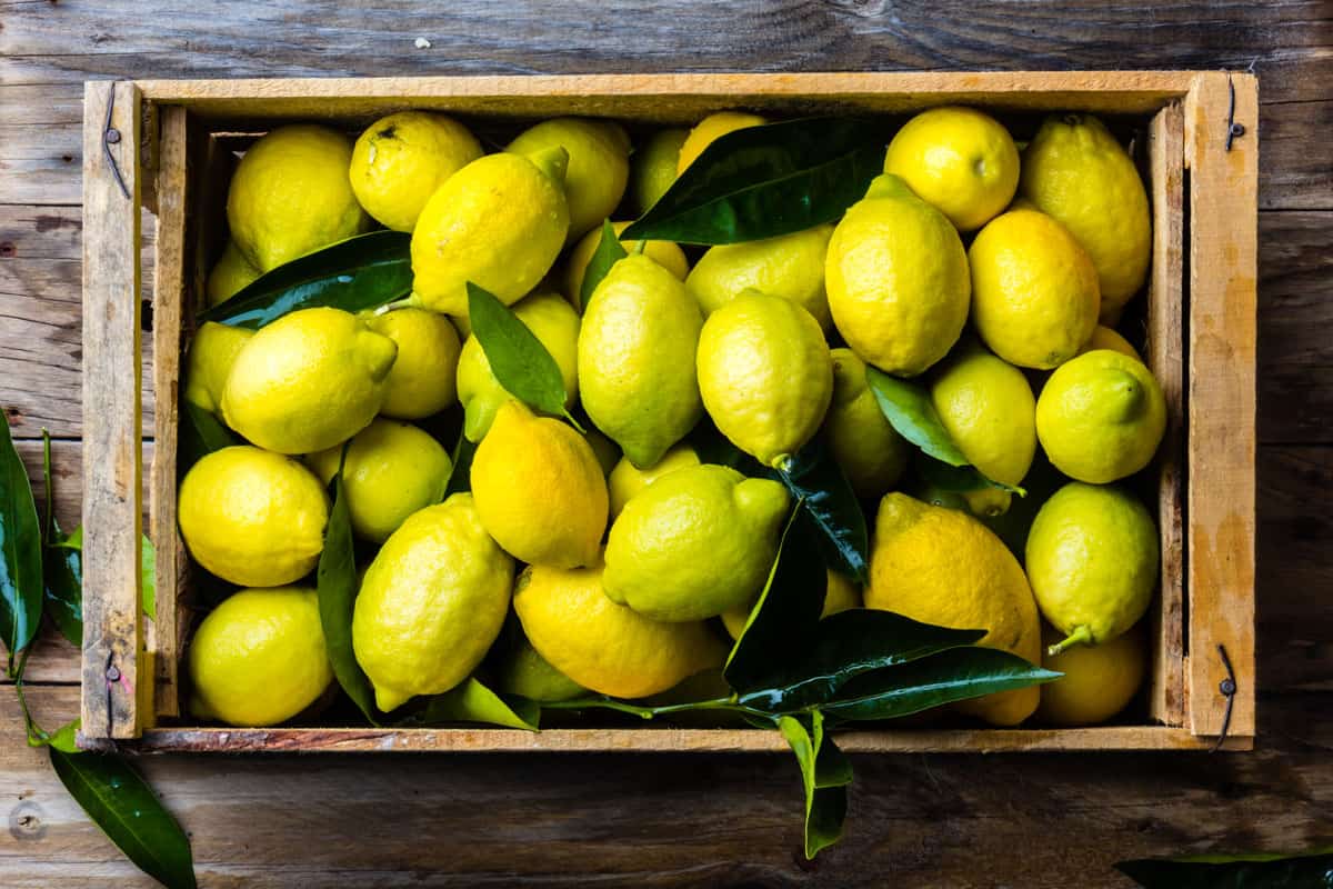Fresh lemon with leaves. Lemon tree. Box of yellow lemons with fresh lemon tree leaves on wooden
