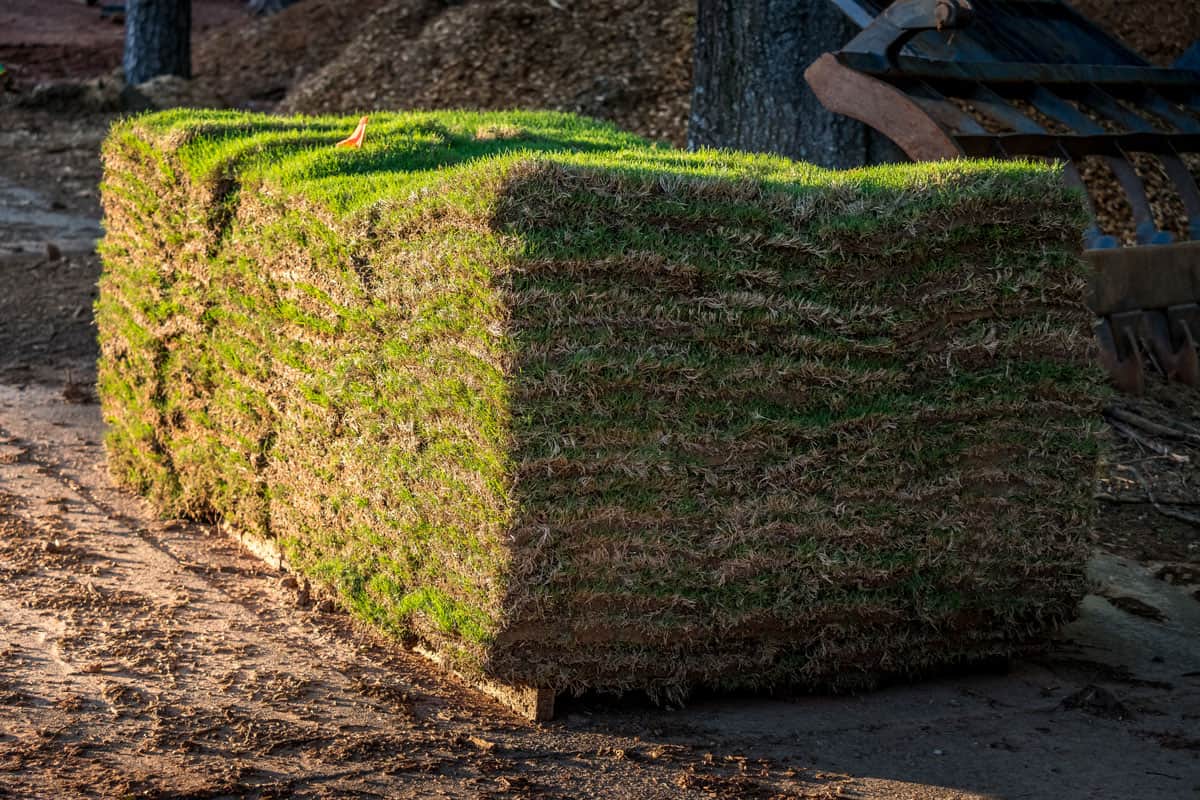 Fresh sod grass squares stacked on pallet ready for landscape installation