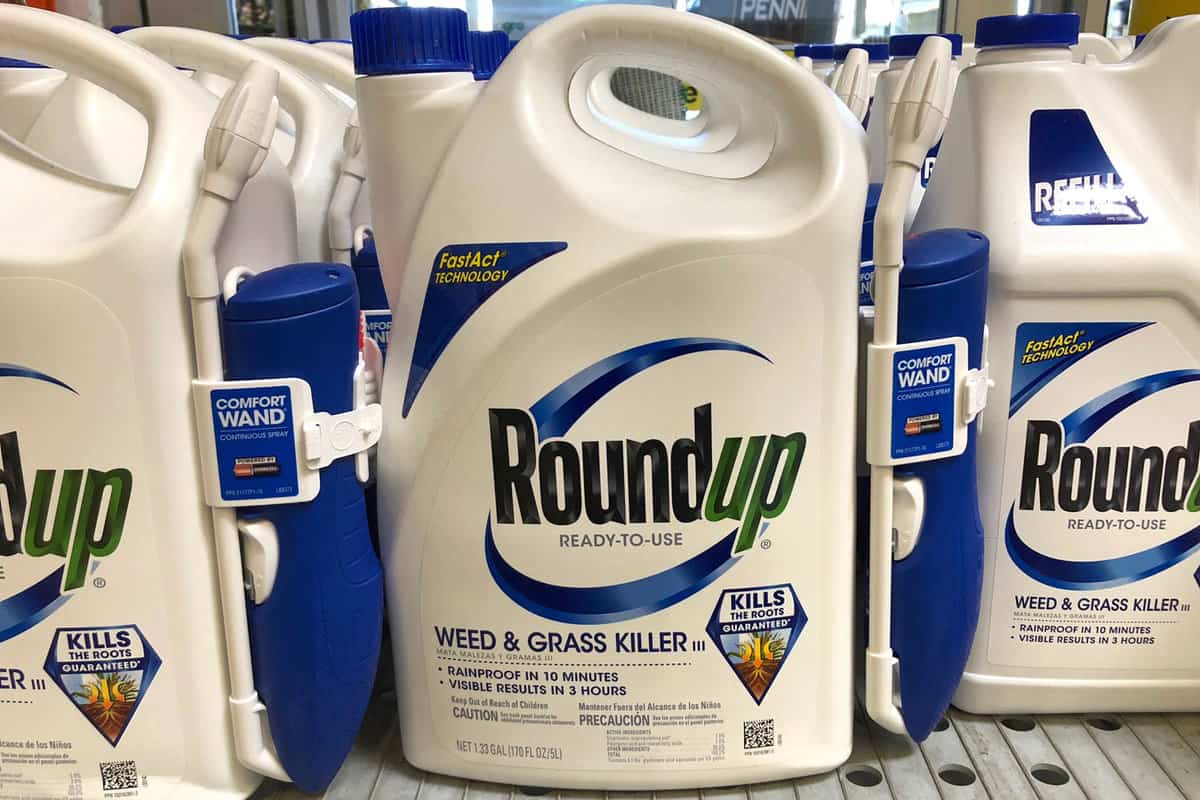 Garden supply store shelf with containers of RoundUp weed killer. A San Francisco jury just ruled that Roundup gave a former school groundskeeper terminal cancer.