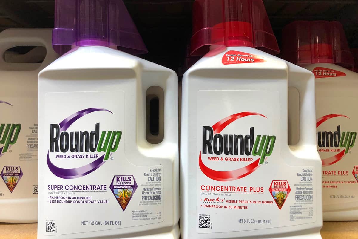 Garden supply store shelf with containers of RoundUp weed killer.