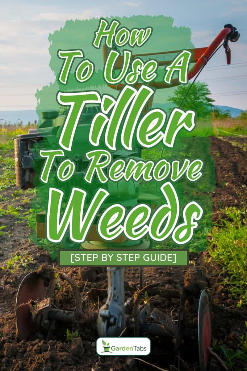 Garden tiller on the field, How To Use A Tiller To Remove Weeds [Step By Step Guide]