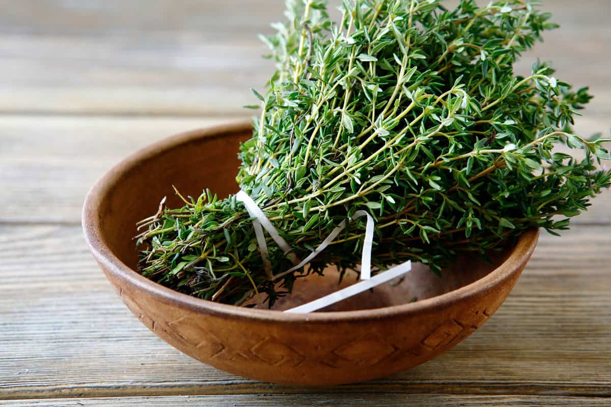 Green thyme in a bowl on boards, close up 