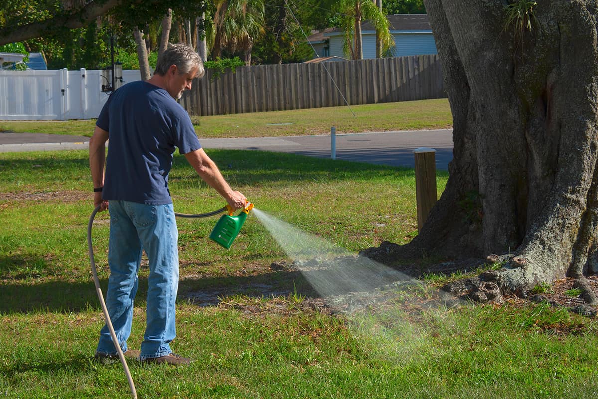 Homeowner man spraying weed killer on his front yard