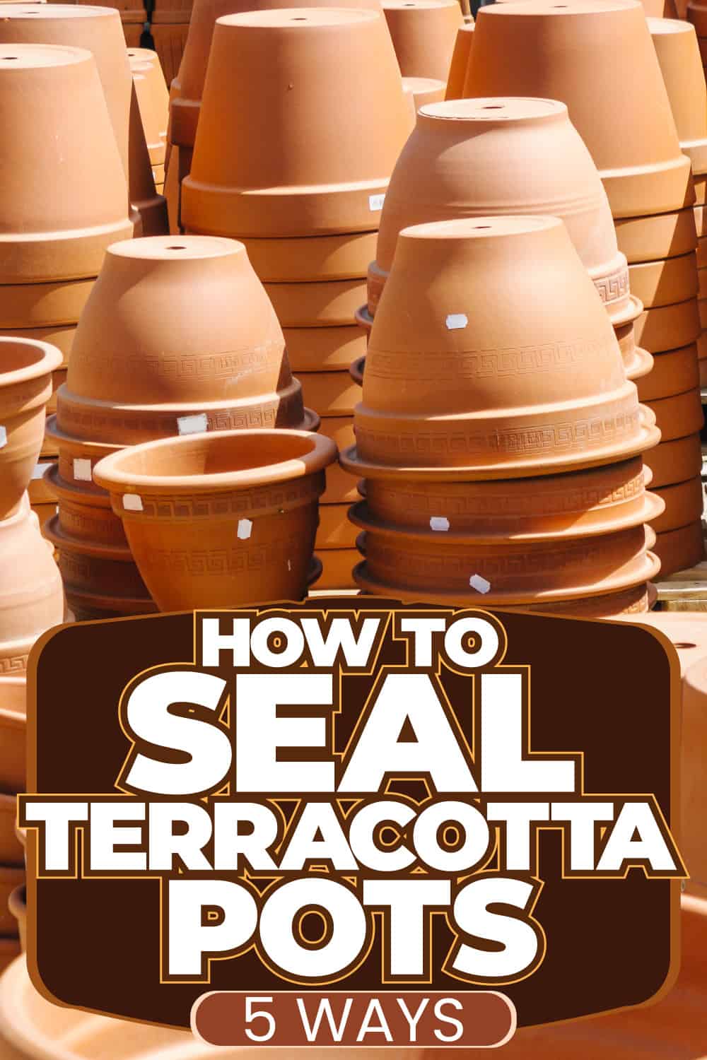 How To Seal Terracotta Pots [5 Ways!]