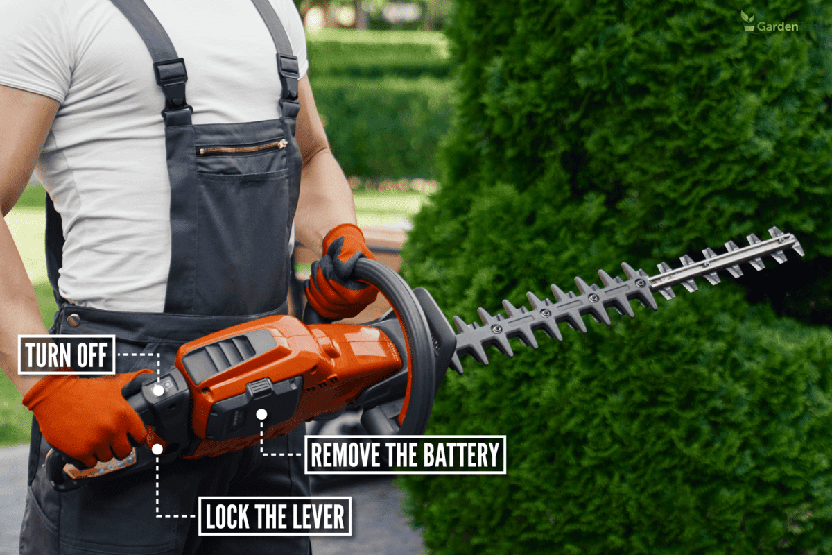 close strong male gardener brown overalls new Stihl hedge trimmer, How To Use A Stihl Hedge Trimmer [Step By Step Guide]