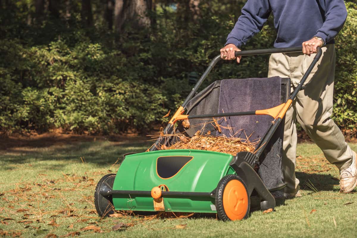 Man using manual push lawn sweeper to remove fall leaves from residential backyard grass lawn.