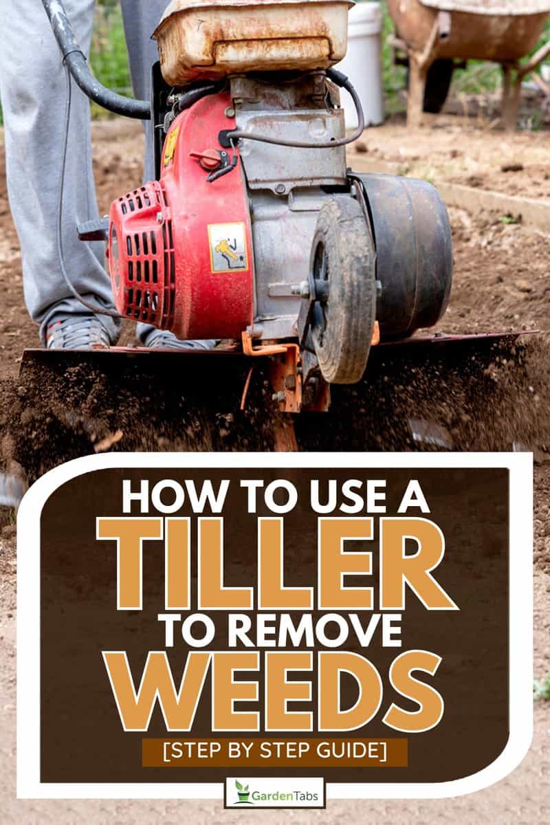 Man weeding with a tiller machine the garden, How To Use A Tiller To Remove Weeds [Step By Step Guide]