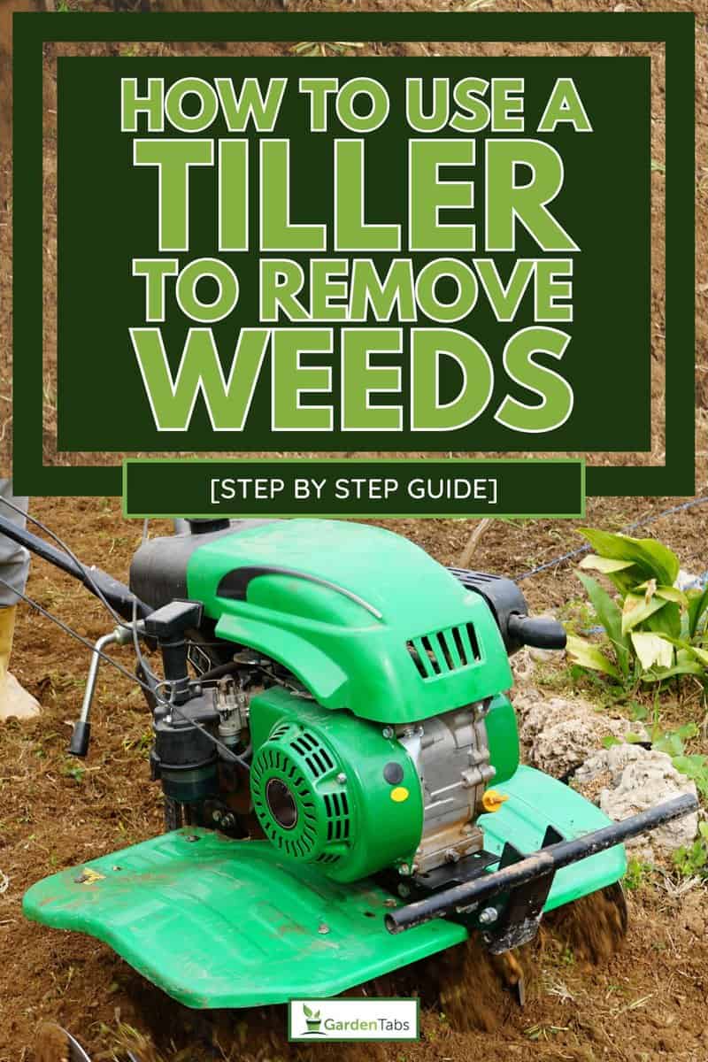 Man working in the spring garden with tiller machine, How To Use A Tiller To Remove Weeds [Step By Step Guide]