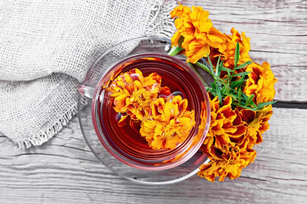 Marigold herbal tea in a glass cup and saucer, fresh flowers, burlap on wooden board background from above