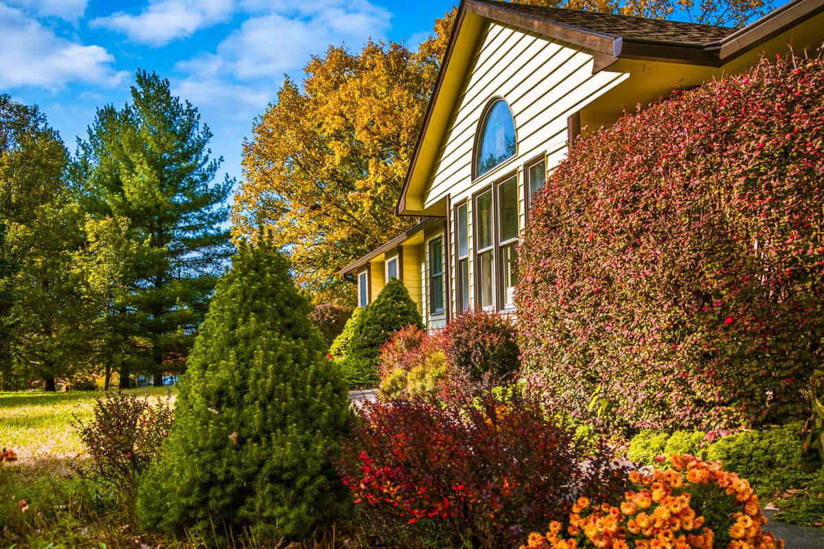 Photo of Midwestern house in late afternoon in autumn; blooming flowers and bushes in front yard; blue sky and trees with