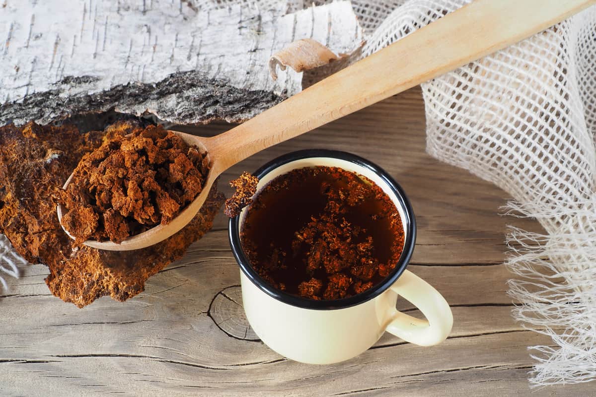 Pieces of natural birch chaga mushroom in a wooden spoon, wellness drink tea in a mug on a wooden background, top view.