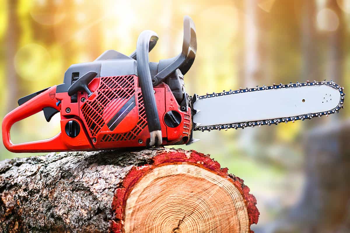 Red chainsaw on top of a cut log