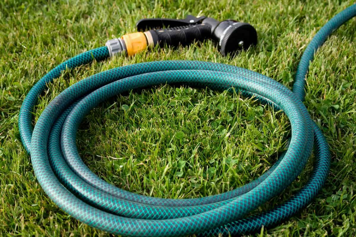 Reel of hose pipe and spraying head on grass