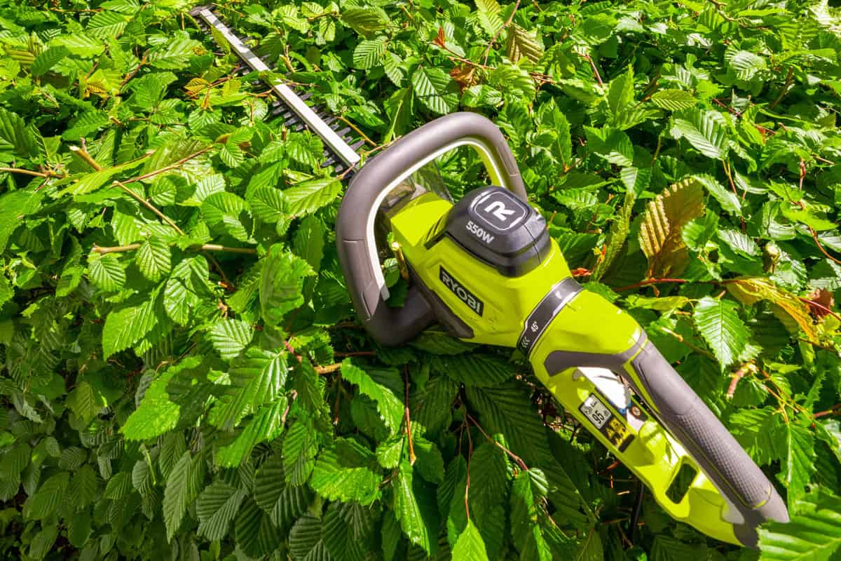 Ryobi Hedge Trimmer close up ready for trimming and cutting