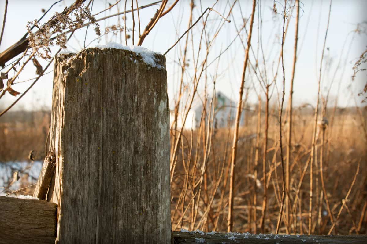 Scenic winter fence post on a farmland 
