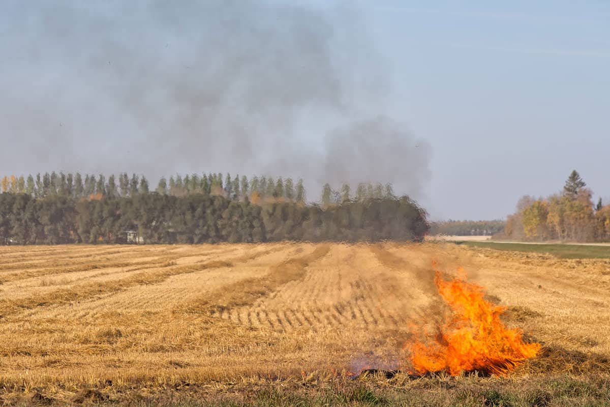 Small fire starting in the corner of a field 