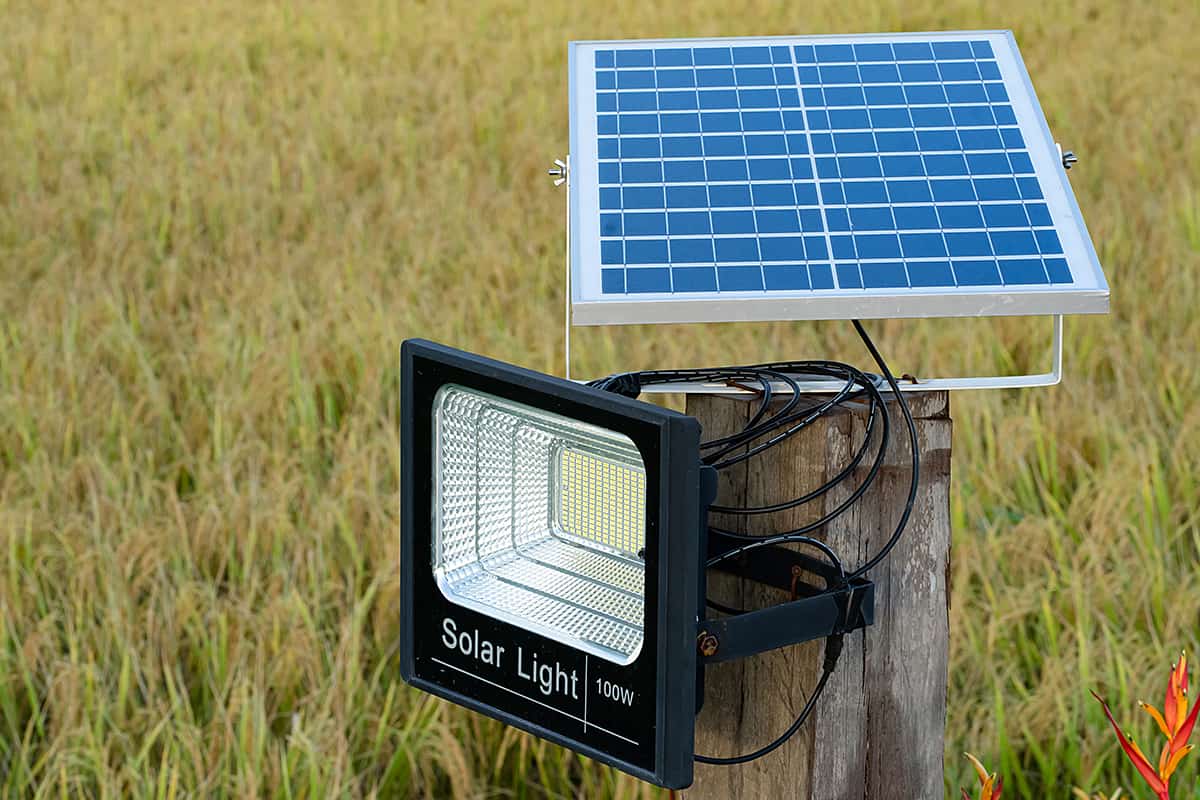Solar cell lamp on yellow field