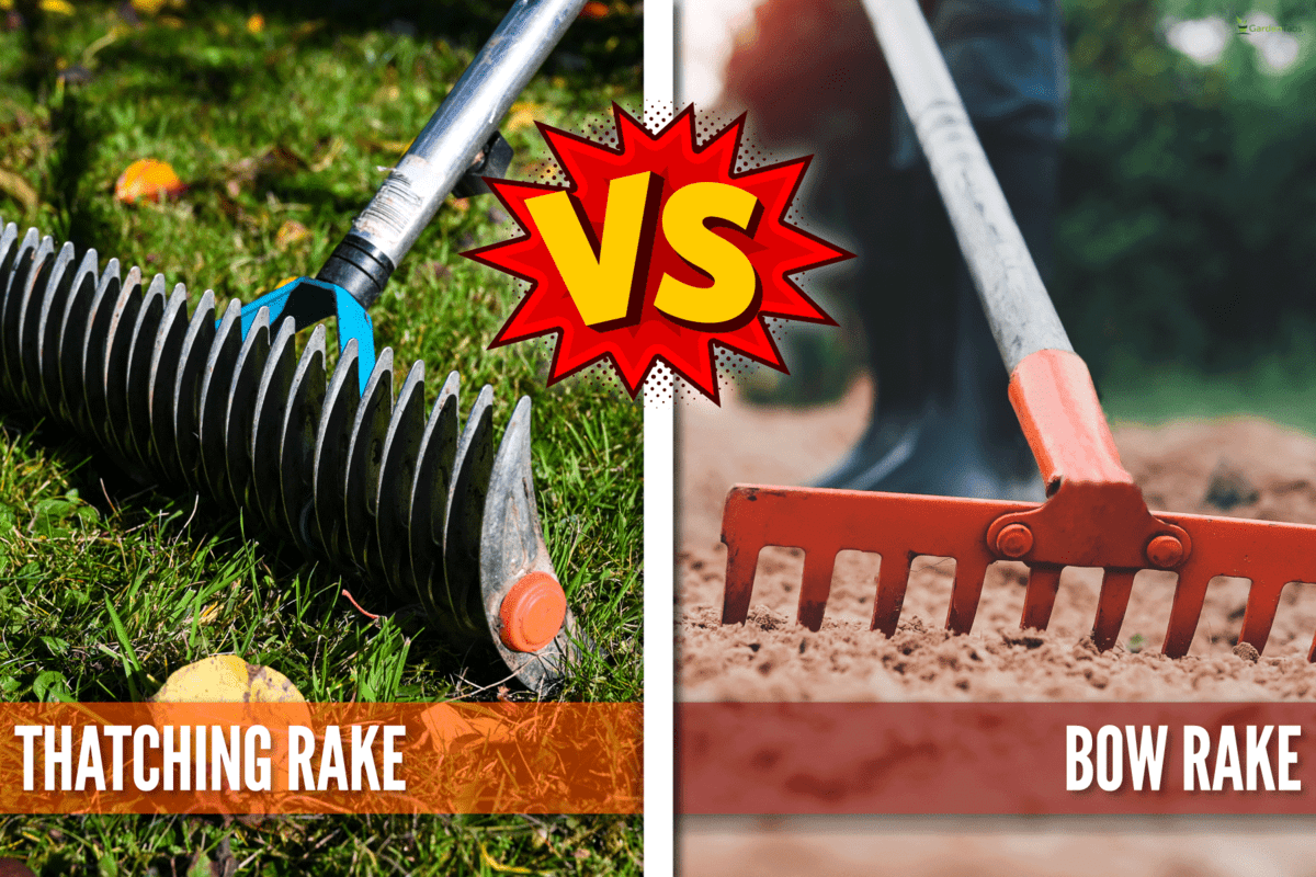 collab photo of a thatching rake and a bow comparison, Thatching Rake Vs Bow Rake: What's The Difference?