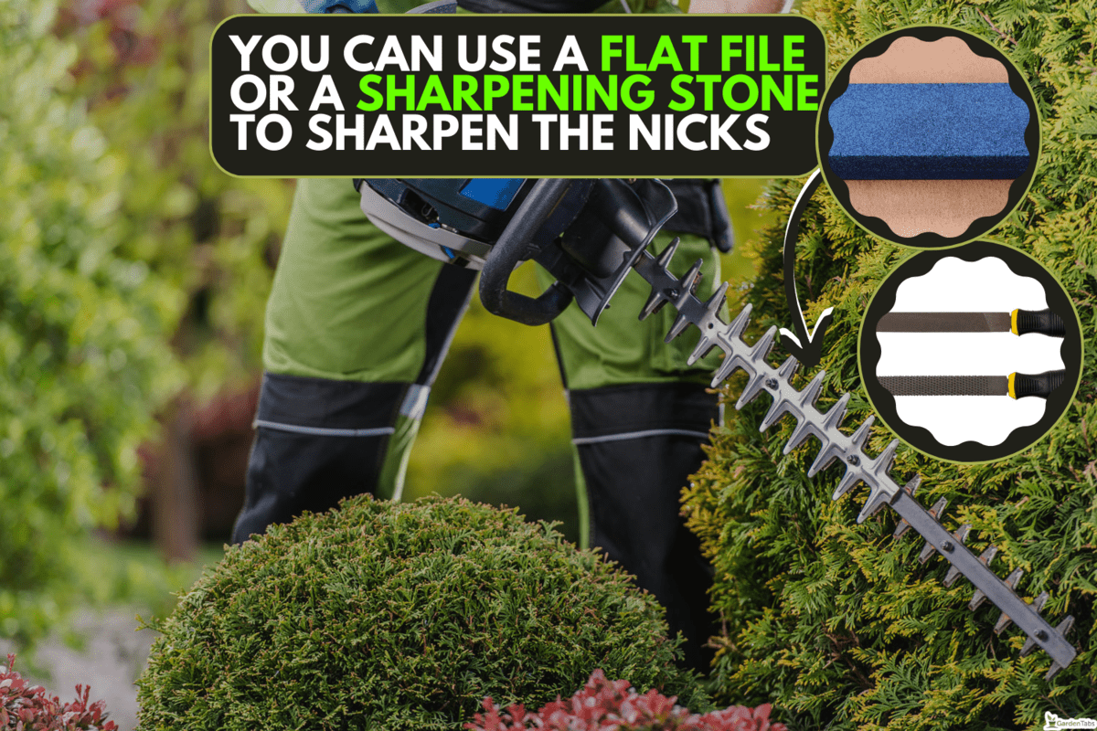 How To Sharpen Black And Decker Hedge Trimmers How To Use A Black And Decker Hedge Trimmer [Step By Step Guide] -  GardenTabs.com