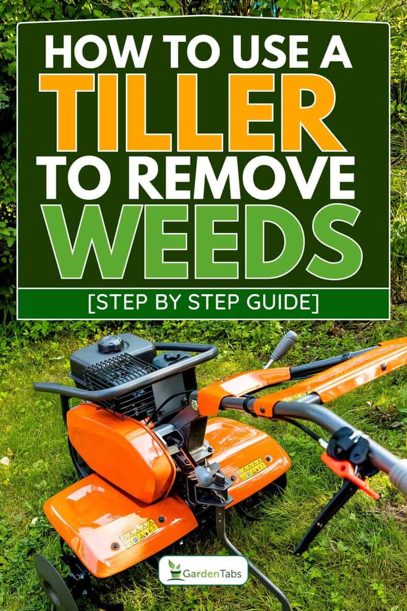 Tiller machine on the garden, How To Use A Tiller To Remove Weeds [Step By Step Guide]