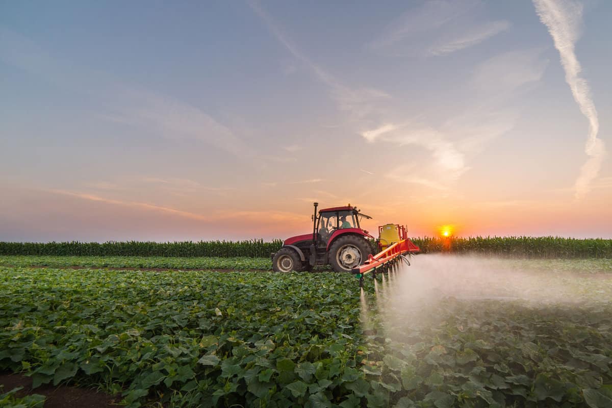 Tractor spraying pesticides on vegetable field