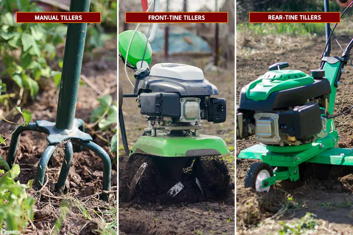 Types of tiller for weed removal, How To Use A Tiller To Remove Weeds [Step By Step Guide]