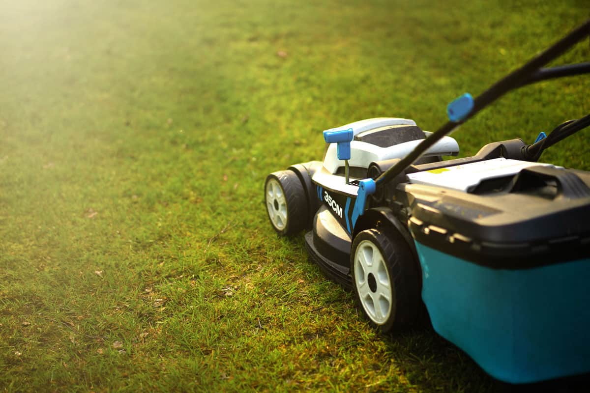 Using an electric lawn mower for the backyard lawn
