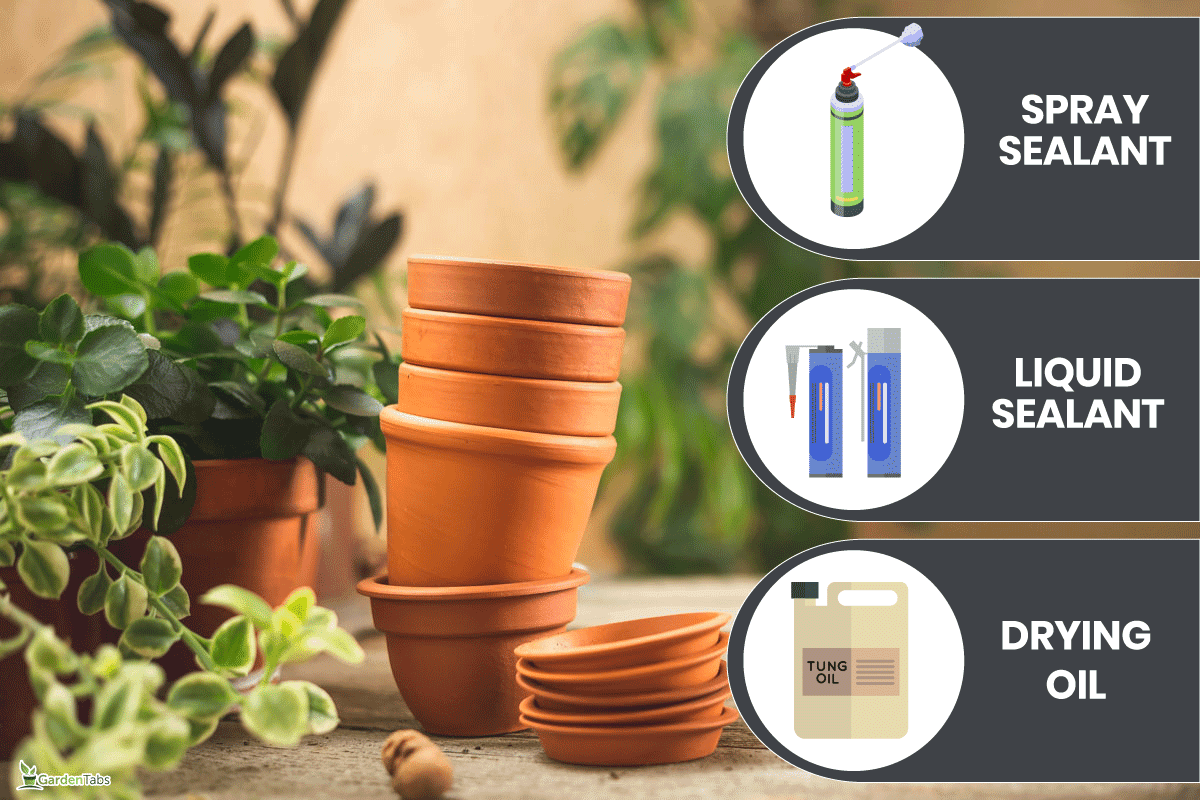 Stack of small ceramic terra cotta pots, gardening tools for succulents, and lots of plants on the wooden table, How To Seal Terracotta Pots [5 Ways!]
