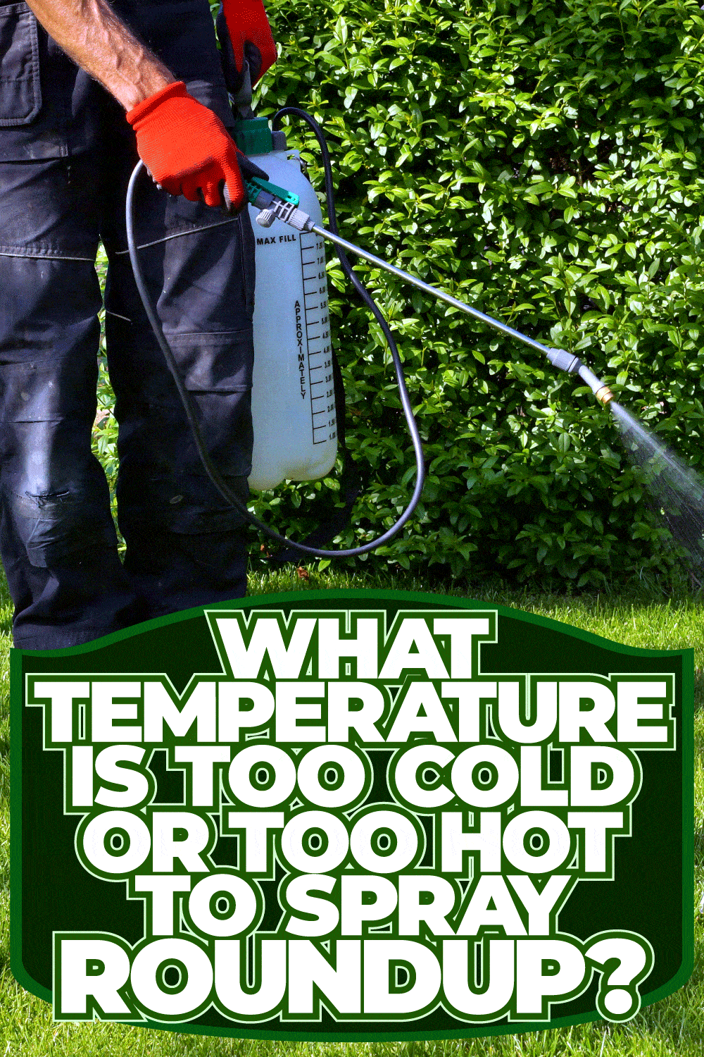 What Temperature Is Too Cold Or Too Hot To Spray Roundup