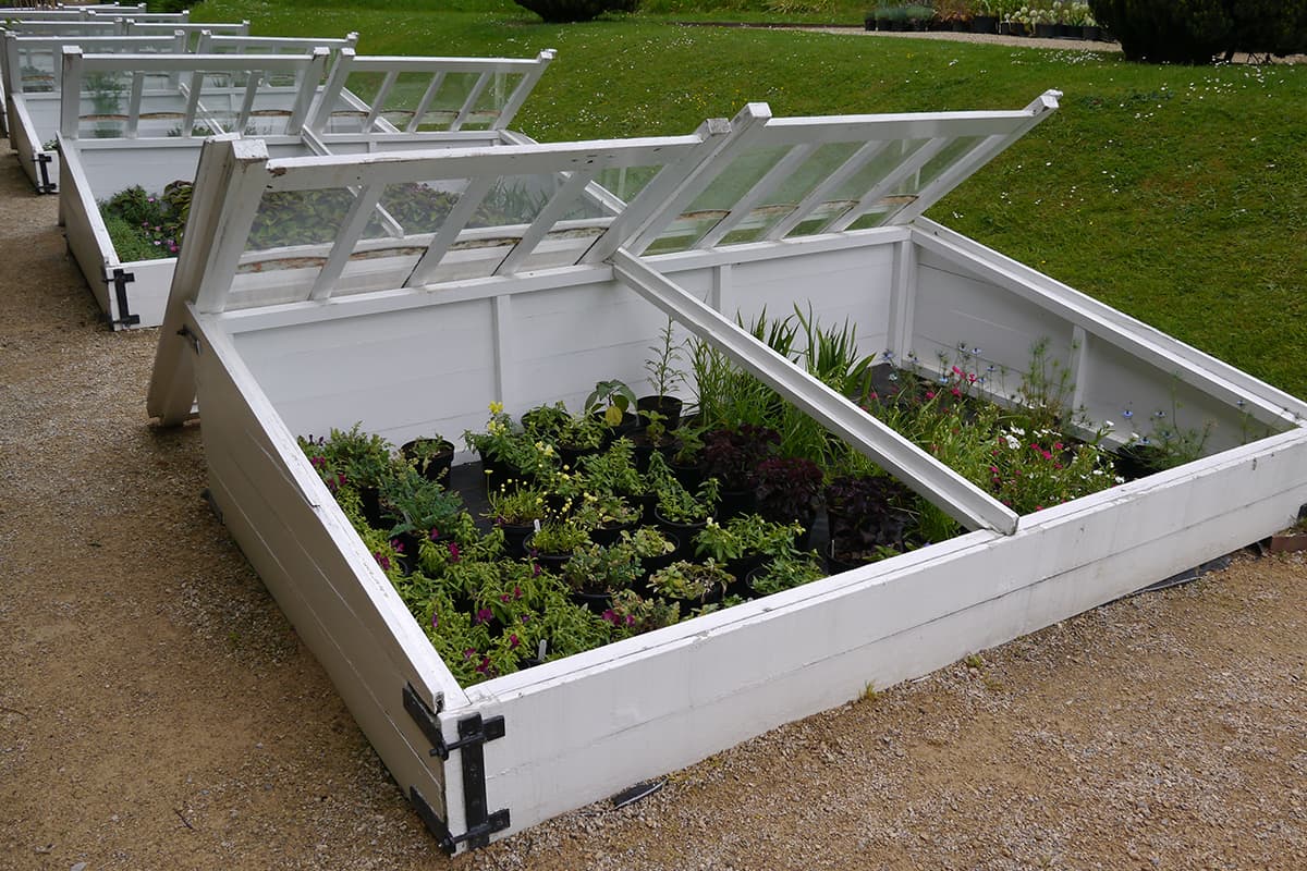 White wooden cold frame protecting tender young plants from wind