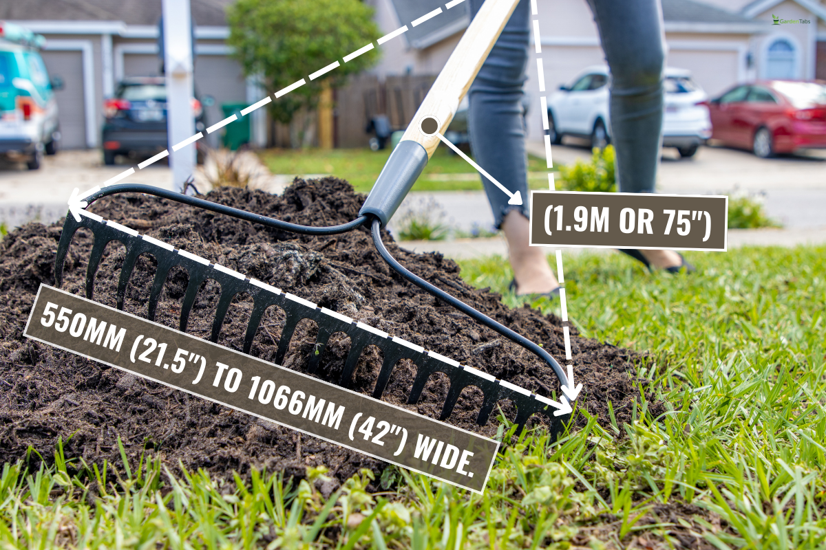 Woman raking soil into lawn - How To Use A Landscape Rake To Level A Lawn