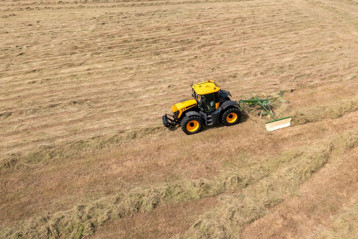 Yellow tractor towing rotary hay rake in field of cut vegetation 