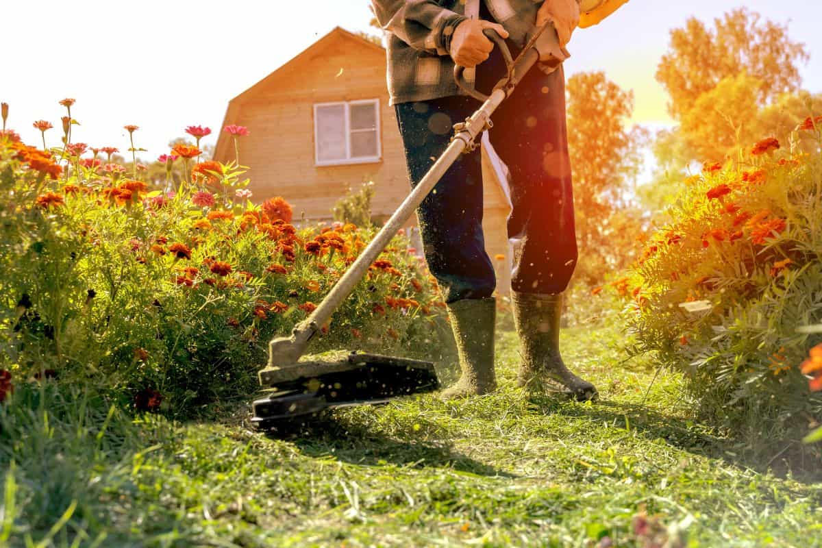 a man mows the grass with a trimmer. 