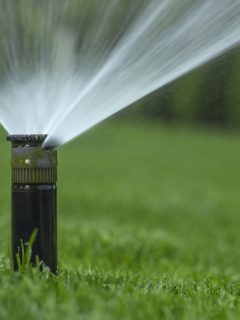 automatic sprinkler system watering lawn on, How To Replace A Hunter Sprinkler Head [Step By Step Guide]