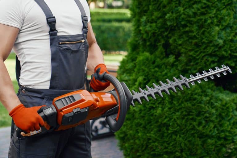 close strong male gardener brown overalls new Stihl hedge trimmer, How To Use A Stihl Hedge Trimmer [Step By Step Guide]