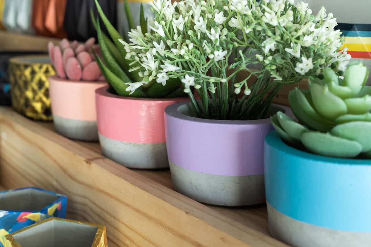 colorful geometric planters on wooden shelf