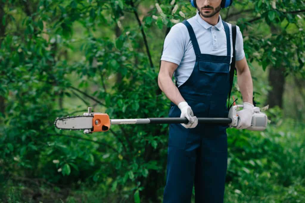 cropped view of gardener in overalls holding telescopic pole saw in garden