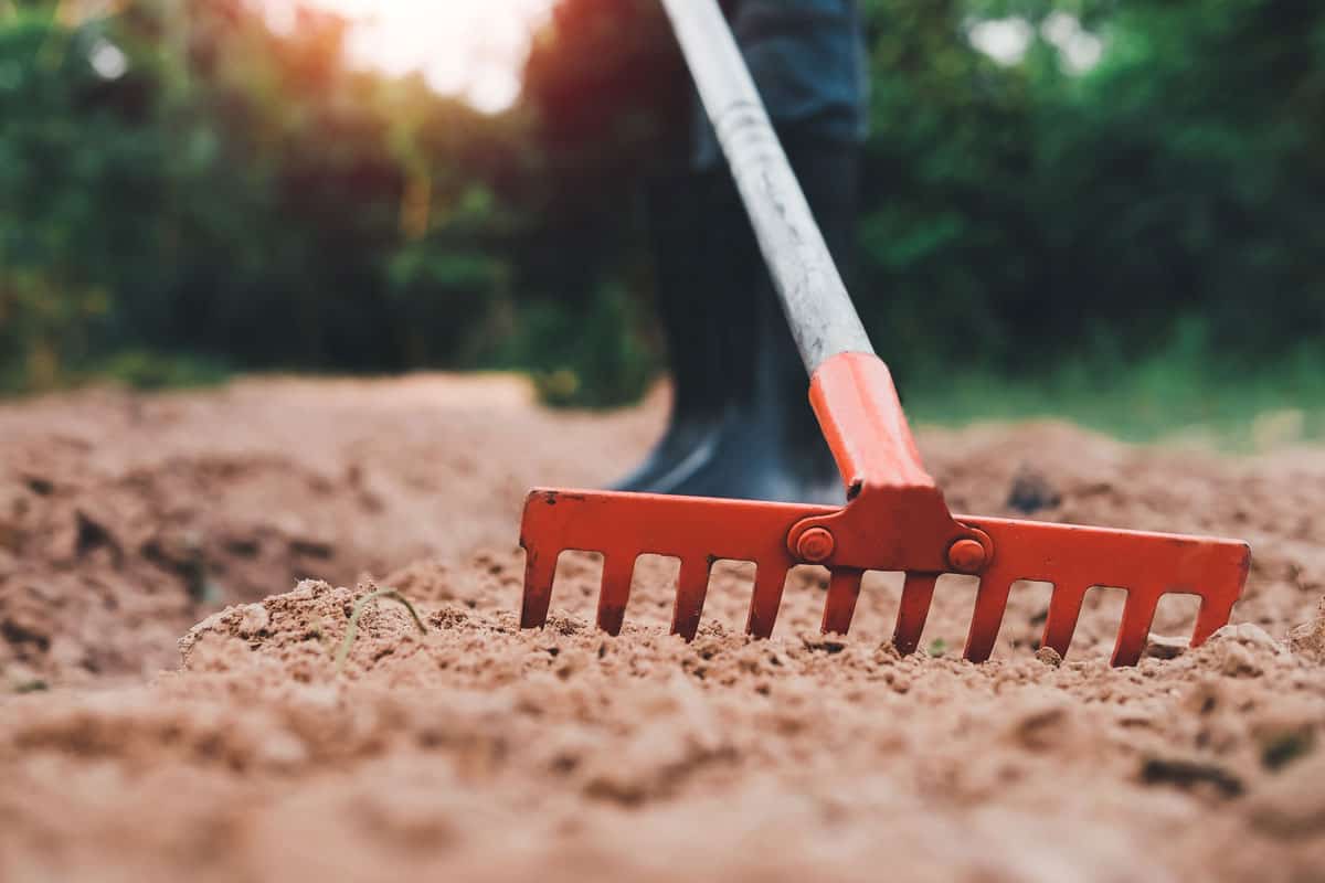 man uses rake shoveling soil prepare