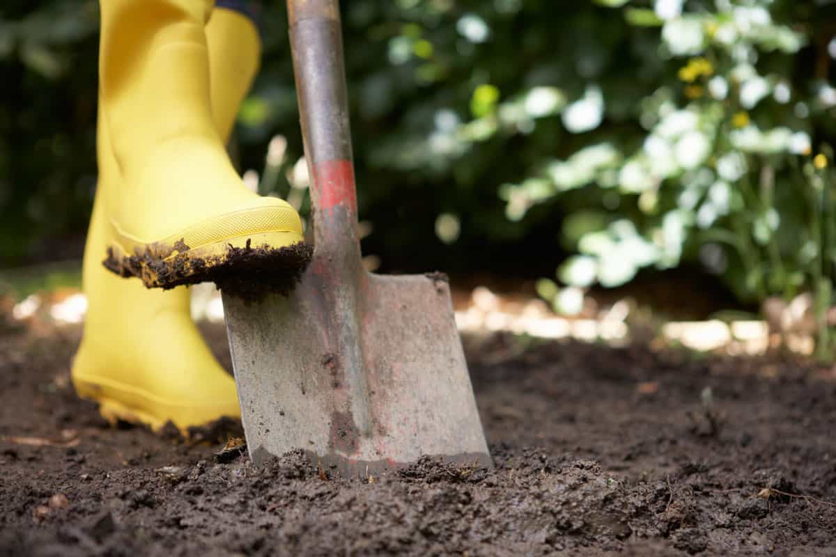 person digging garden with yellow gardening boots