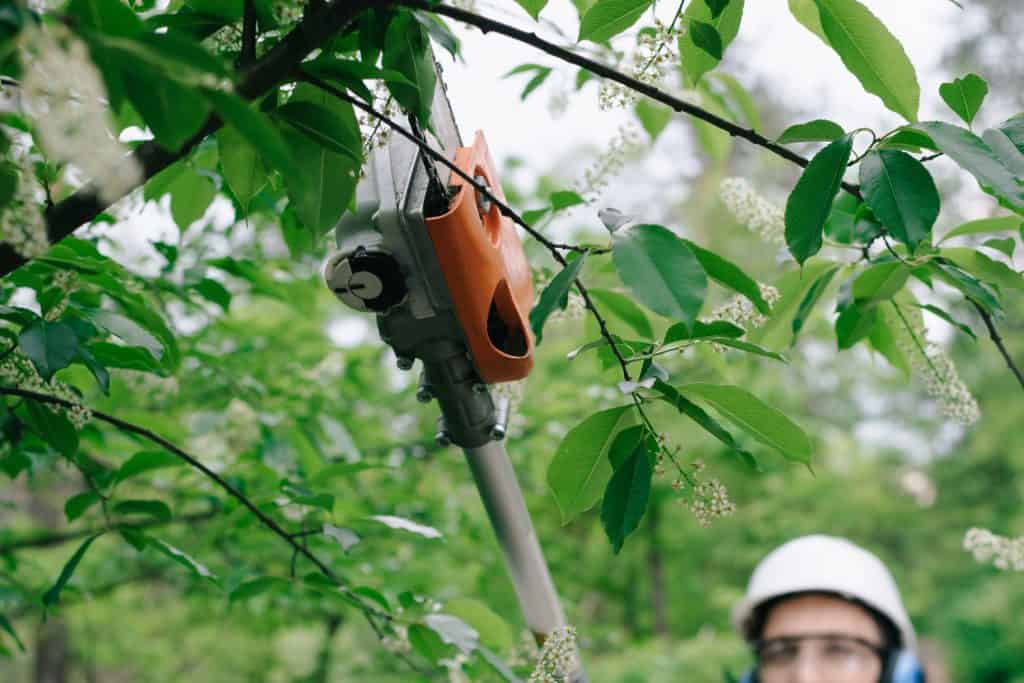 selective focus of smiling gardener in helmet and hearing protectors trimming trees with telescopic pole saw and looking at camera
