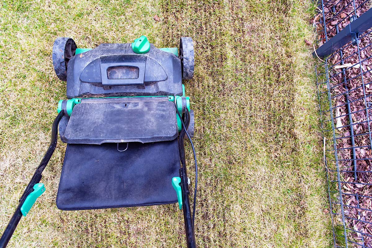 spring scarifying the lawn using verticutter machine 