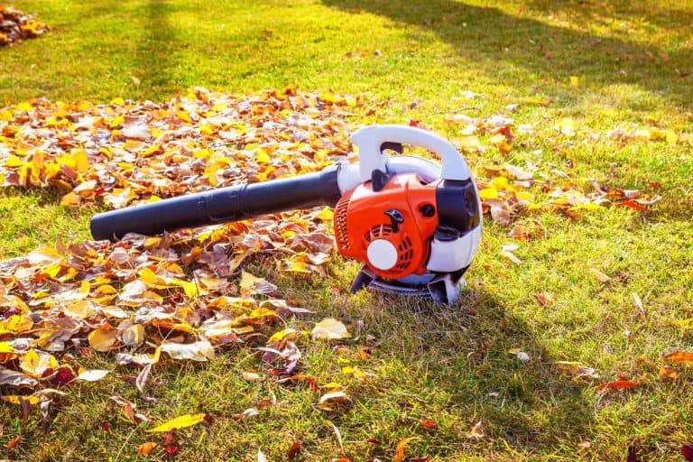 vacuum cleaner cleaning leaves on lawn, How To Start A Husqvarna Leaf Blower [Step By Step Guide]