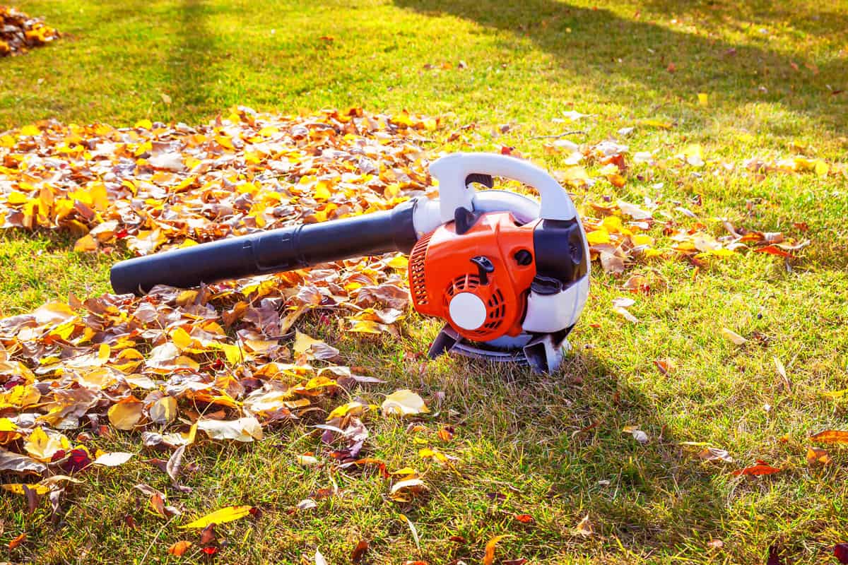 vacuum cleaner cleaning leaves on lawn