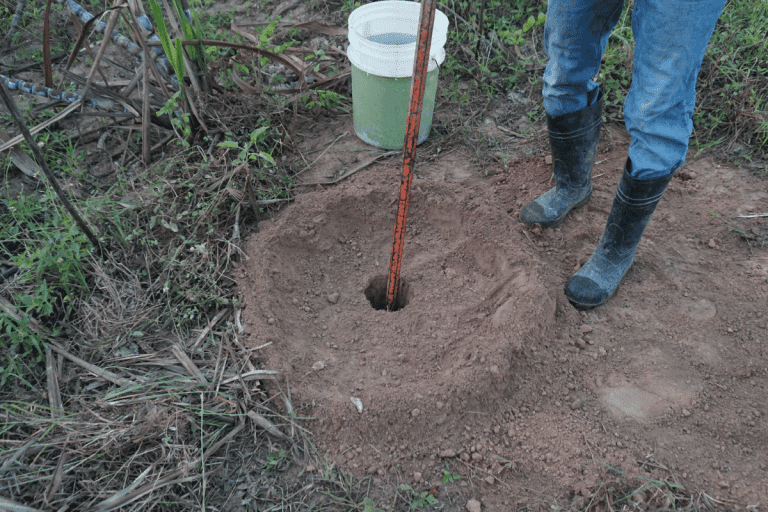 volunteer putting a digging bar in a planting hole in order to plant a tree. How To Use A Digging Bar [Step By Step Guide]