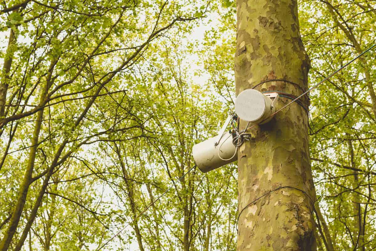 100V Line Weatherproof Outdoor Speaker hanging on a tree in a park.