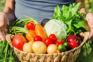 A man with a minimal space garden having a harvest, Tired of High Grocery Costs? West Virginia Gardener's Secrets to Growing Your Own Produce In Minimal Space!