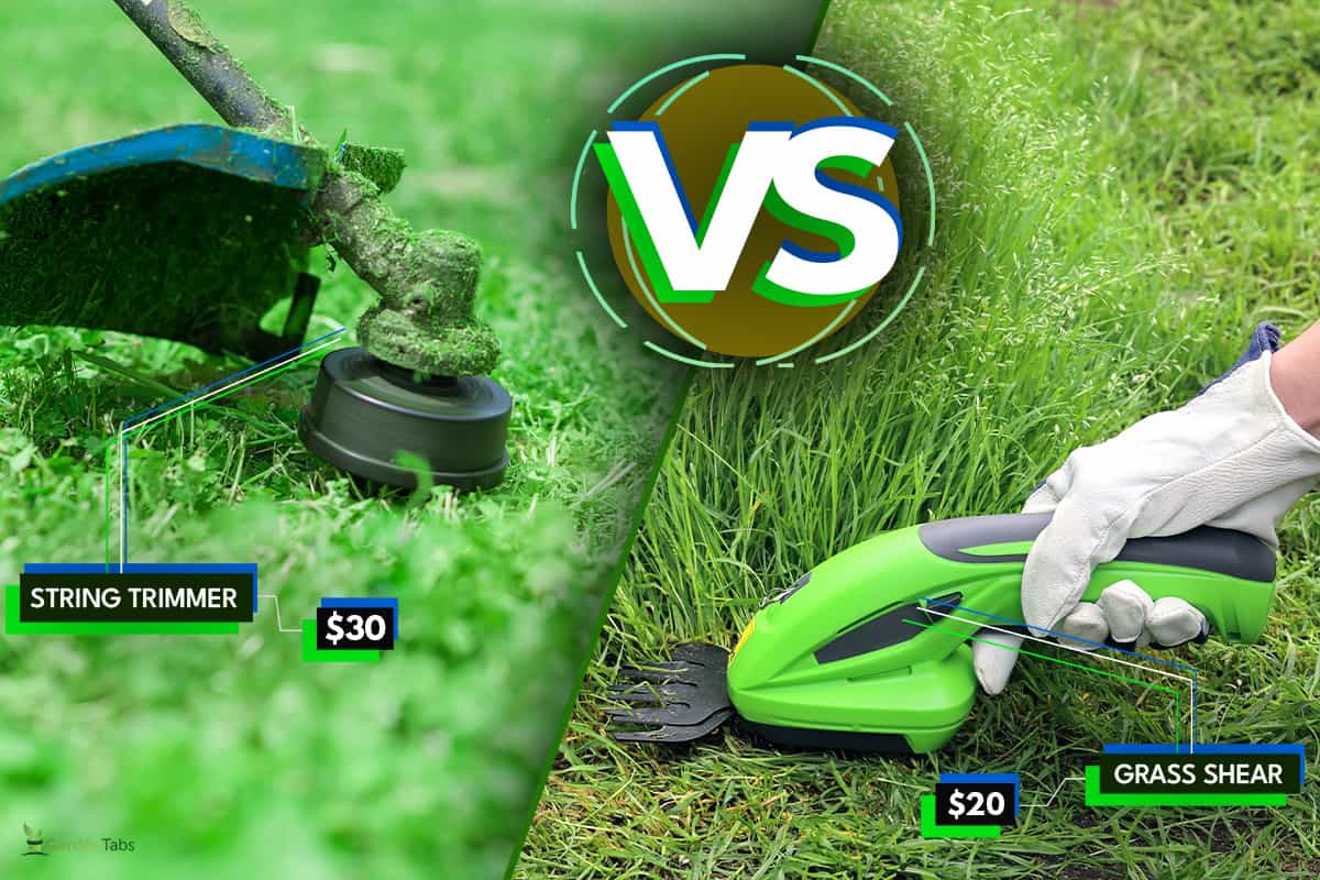 A collage image of a grass shear and a string trimmer, Grass Shear Vs String Trimmer: Pros, Cons, Differences