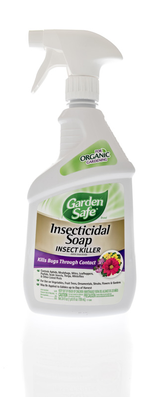 A bottle of Garden Safe insecticidal soap insect killer on an isolated background