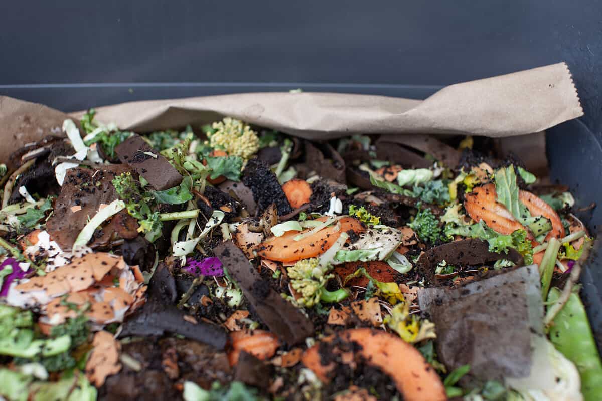 A close up view of a worm composter